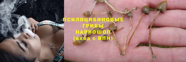 твердый Алексеевка