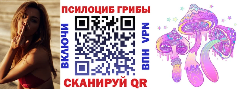 цена   гидра как войти  Псилоцибиновые грибы мицелий  Туймазы 